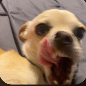 Meet your Posher, Crystal